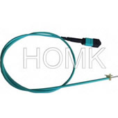 MPO Armoured Fiber Optic Pigtail