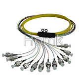 FC 12 core Pigtail