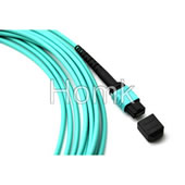 MTP Fiber Optic Pigtail